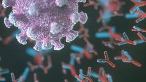Koronavirus nə qədər qorxulu olsa da onun zəif tərəfləri var.