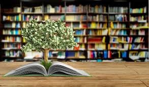 Magistraturaya qəbul imtahanının nəticələri açıqlanıb