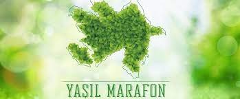 Yaşıllaşdırma Marafonu çərçivəsində növbəti ağacəkmə aksiyaları keçirilib.