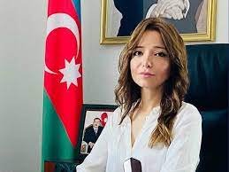Prezident İsveçrə səfirini geri çağırdı - SƏRƏNCAM