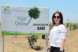 Bakıda salınmış "Yaşıl qələm" jurnalistlər bağı bar verib (FOTO)
