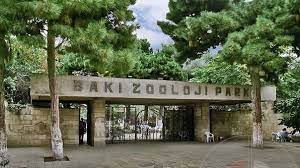 Bakı Zooloji Parkı heyvanları sevən könüllü gənclər axtarır