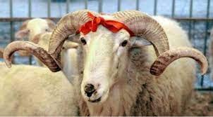 Qurban bayramı ilə əlaqədar 2 gün iş olmayacaq