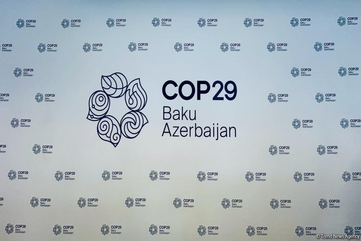 COP29-un maliyyə dövriyyəsinə nəzarət ali audit orqanı ilə birgə aparılır