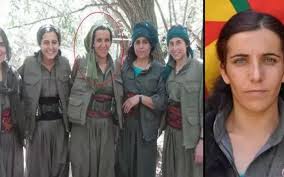 Türk kəşfiyyatı PKK-nın "rəhbər şəxsi"ni Suriyada məhv etdi